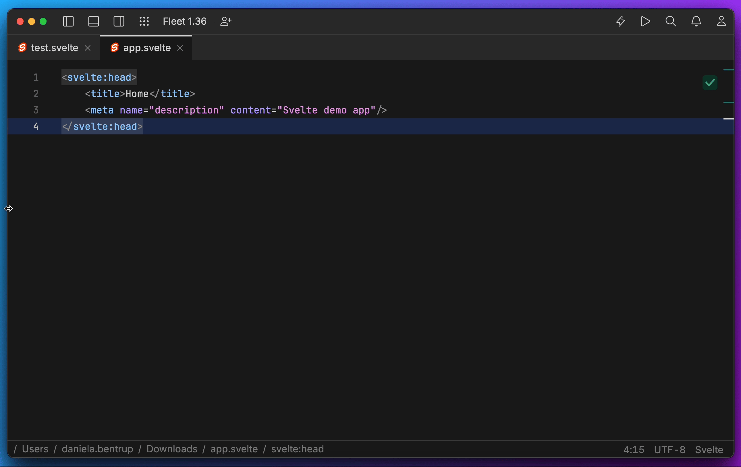 Fleet 1.36: Improved Svelte syntax highlighting